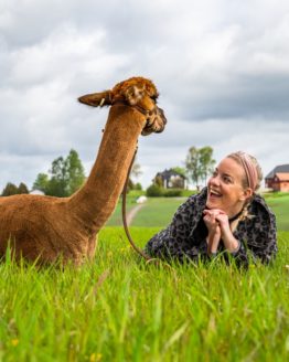 Alpakkavandring med Joey og Synne - Fotograf Kjell-Jostein Sivertsen