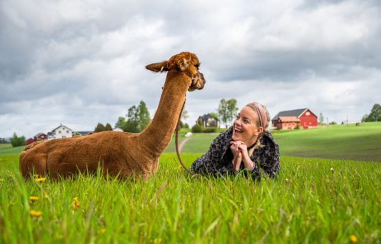 Alpakkavandring med Joey og Synne - Fotograf Kjell-Jostein Sivertsen