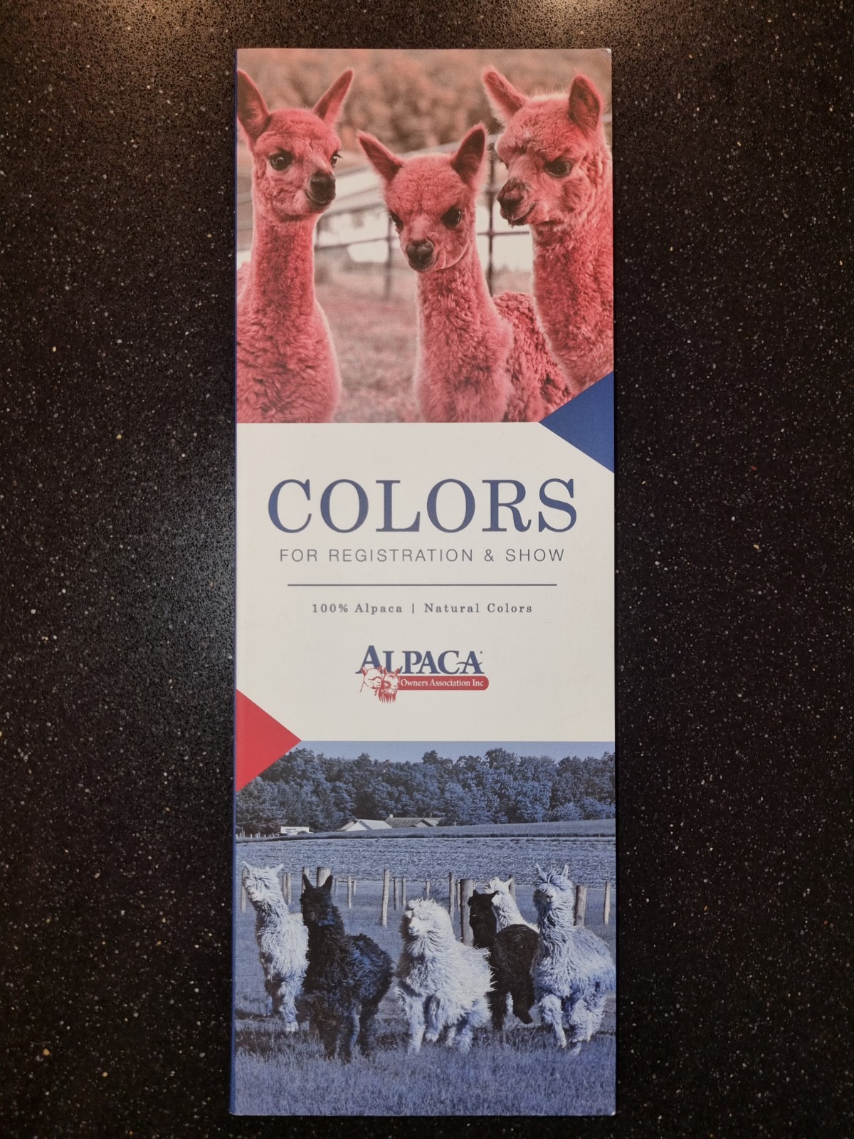 Alpakkavandring - Fargekart alpakka